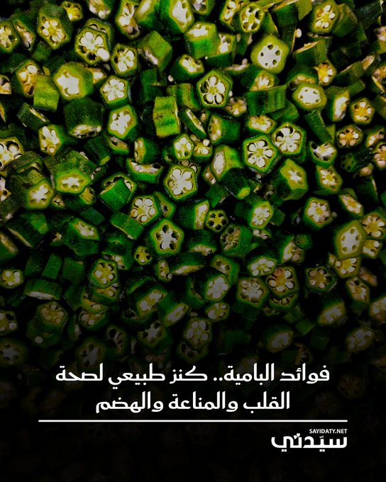 تعد البامية كنزًا غذائيًا حقيقيًا! فهي غنية بالعناصر التي تدعم صحة القلب، وتوازن السكر، وتمنحكِ شعورًا بالشبع.. اكتشفي معنا فوائدها المذهلة وكيف يمكنها أن تحدث فرقًا في صحتكِ وما هي وجبتكِ المفضلة التي تحتوي على البامية؟ 