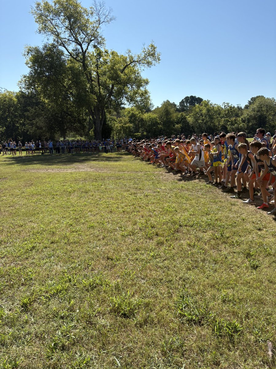 Shannon Cron tweet media