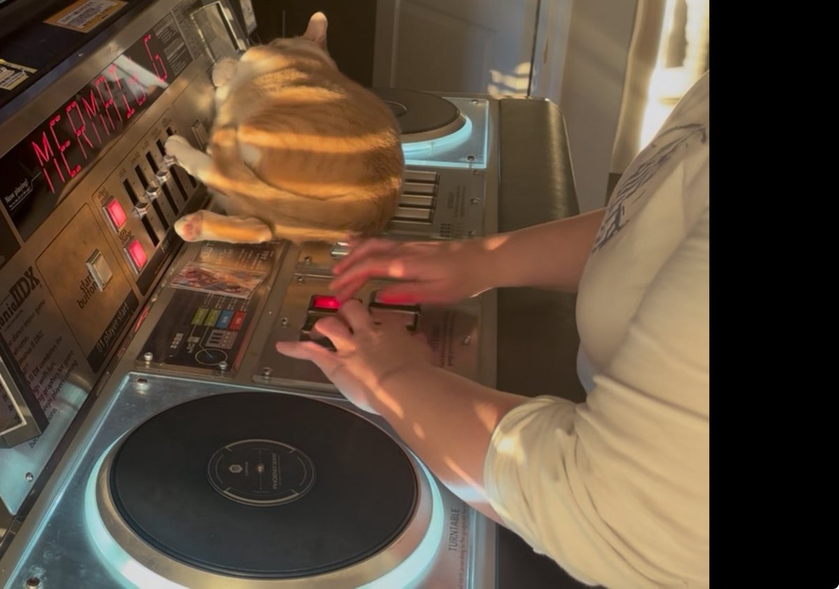 ✨Mandy Mew✨🔜ACNH Aquarium Tour GVM🐟 tweet media