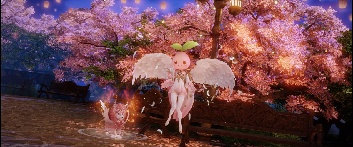 v44ki tweet picture