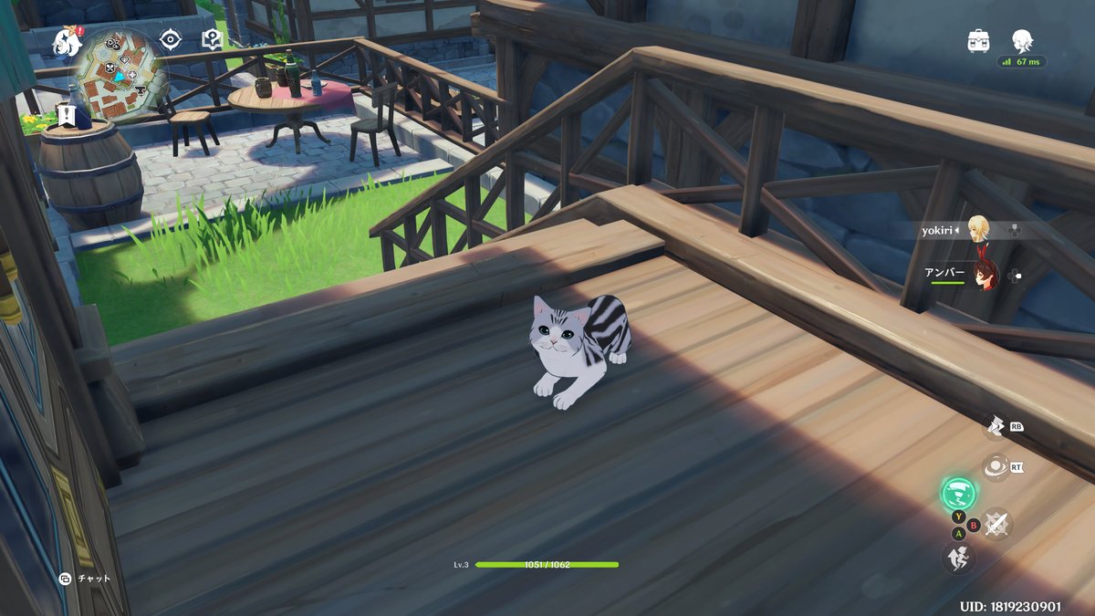 原神初スクショは猫ちゃんでした😊