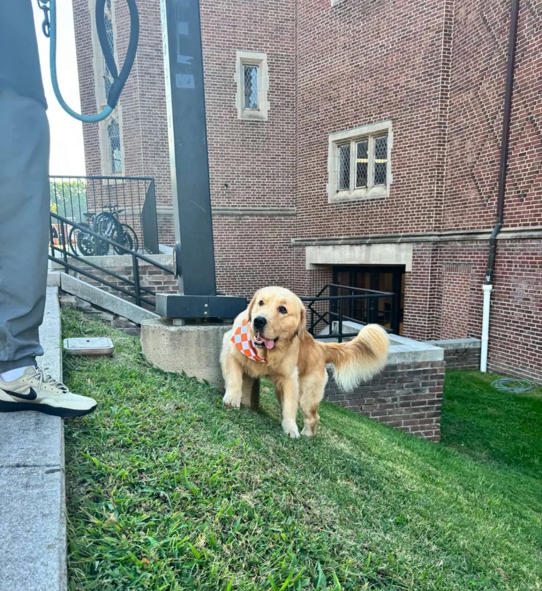 kebabshopchef's tweet image. Look what the cat dragged in #peter