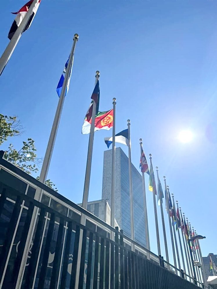 Sharronyemane's tweet image. This month marks the Historical speech by H.E President Issais Afewerki.
September 30, in the History of Eritrea. 

On September 30, 1993, 43+years after the #UN unjustly decided #Eritrea to be federated with Ethiopia, President Isaias Afewerki addressed the 48th session of the…