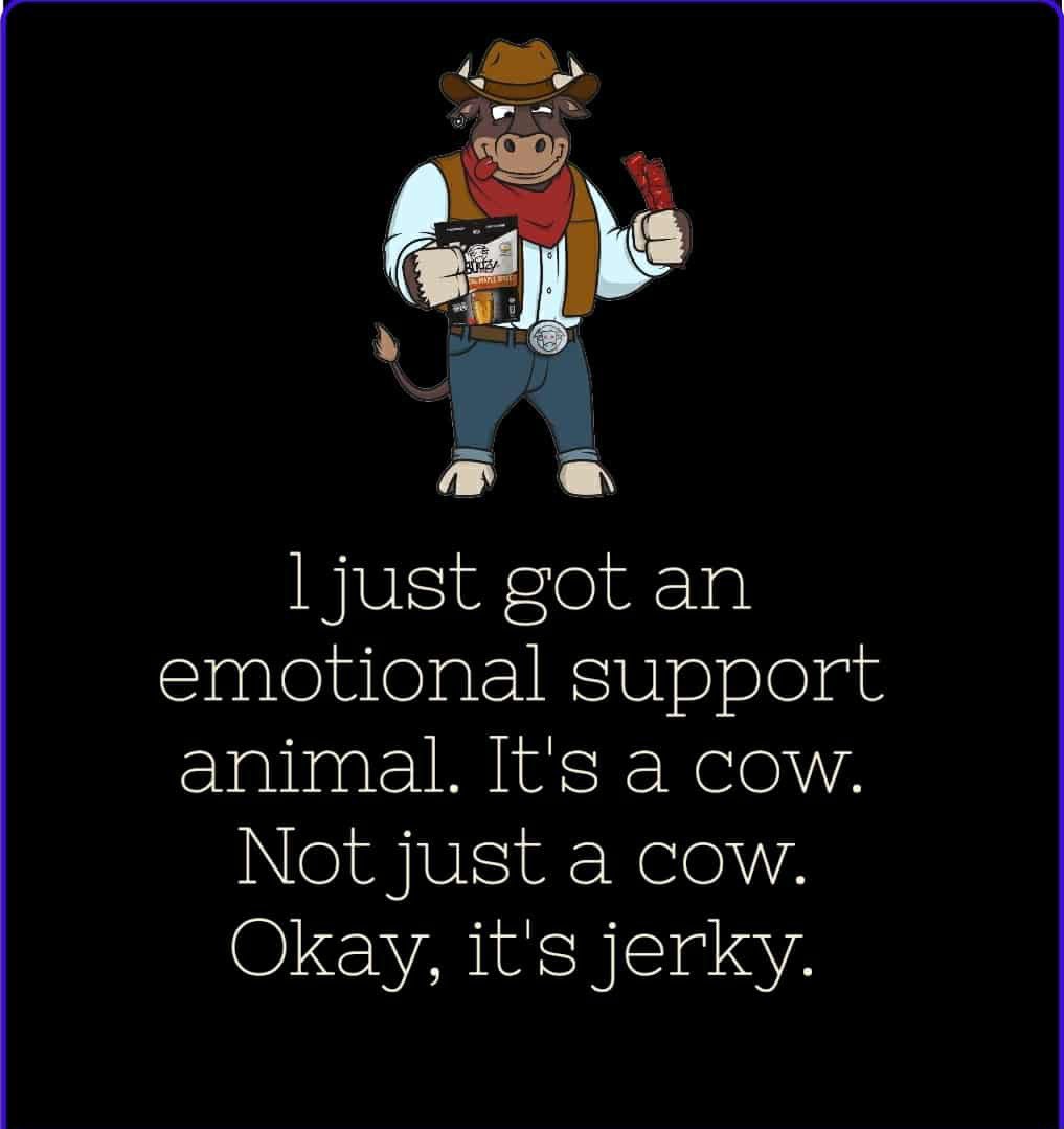 Boozy Jerky (@boozyjerky) on Twitter photo 