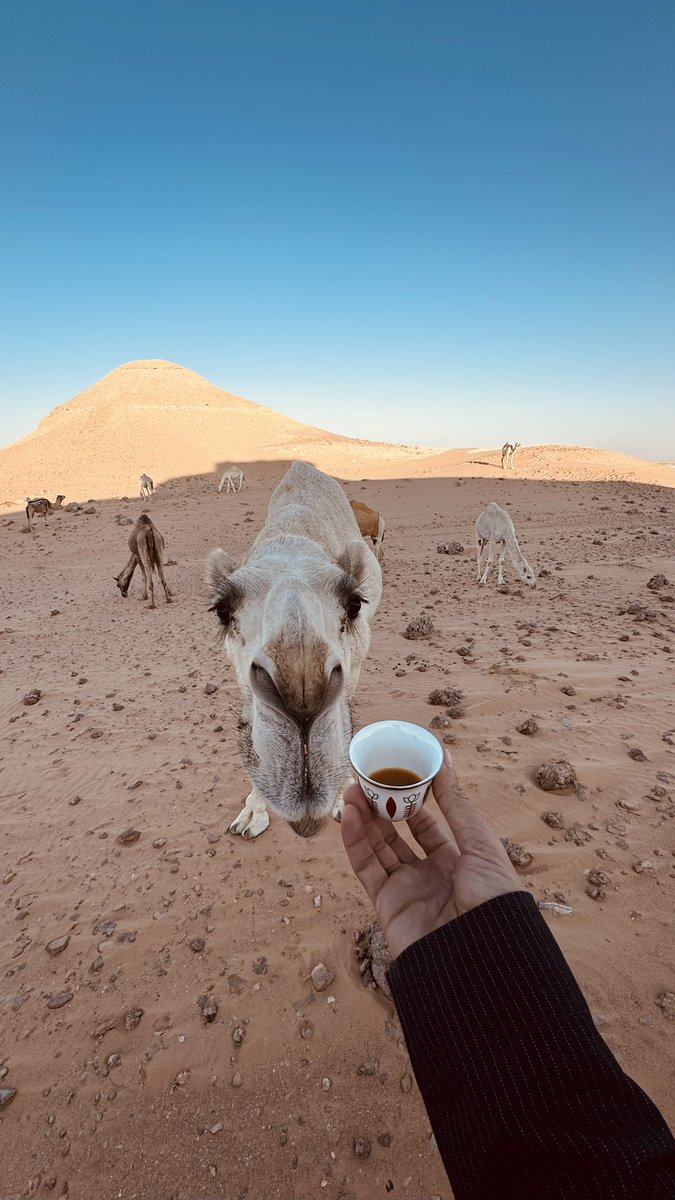 _4tami's tweet image. تعال أقهويك من دلّة الشوق فنجال 
القلب لك ديوان وأنت اغلى مساييّره 🤍