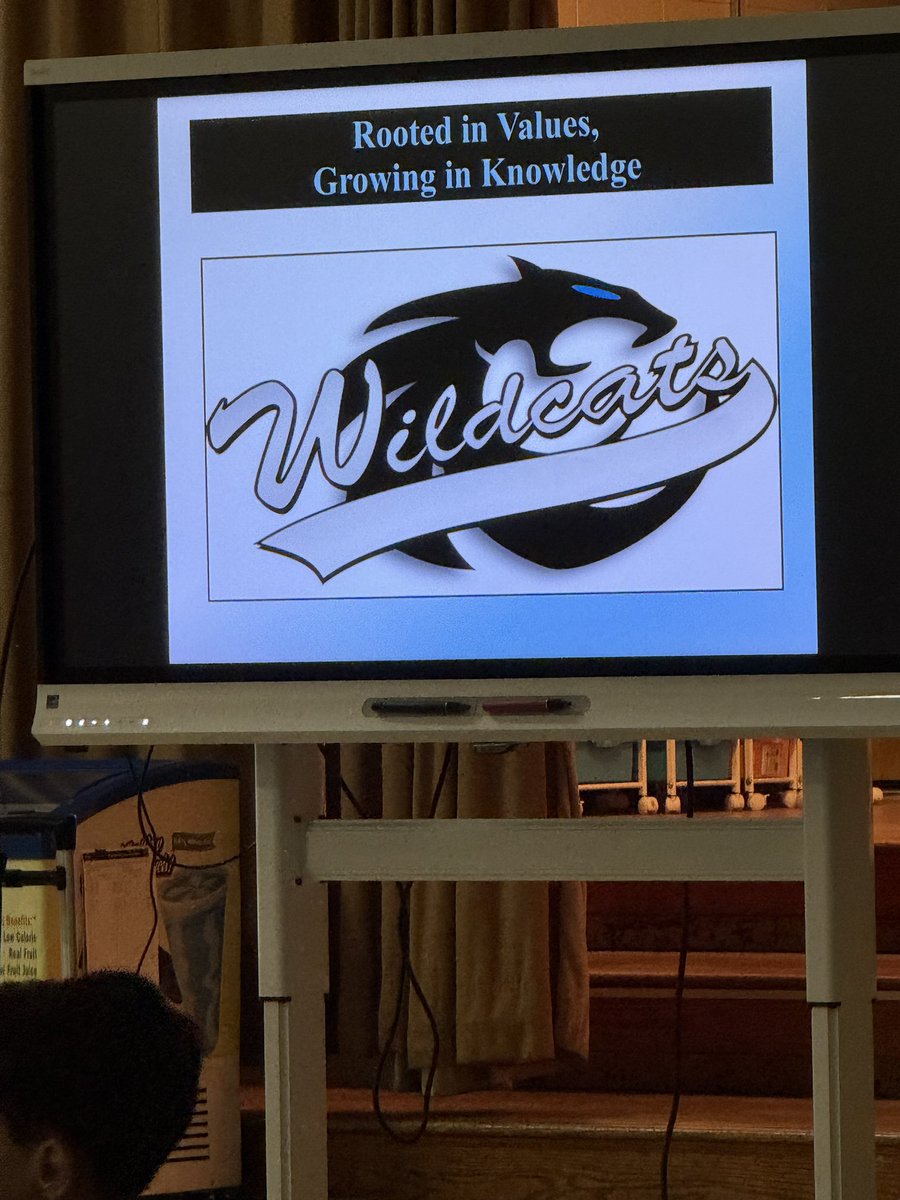 MrsPlum3rd's tweet photo. Fun Wildcat Welcome Back Assembly yesterday! https://t.co/kHIlkJyh29