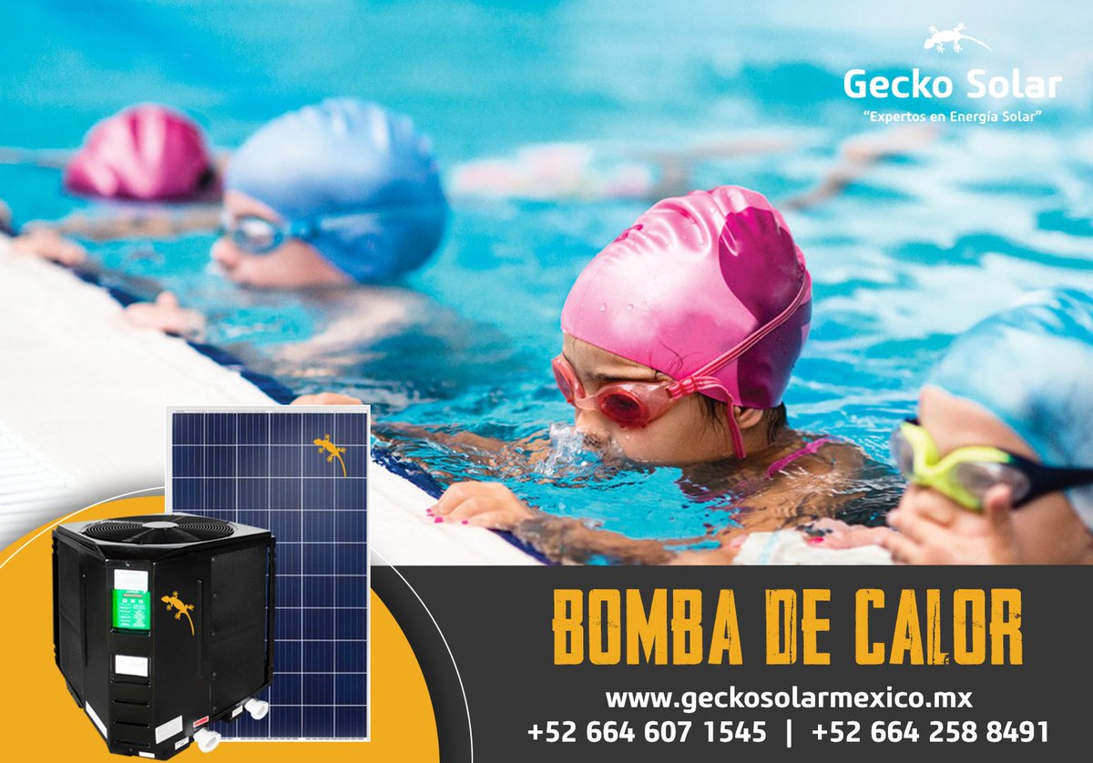 Gecko Solar Energy tweet media