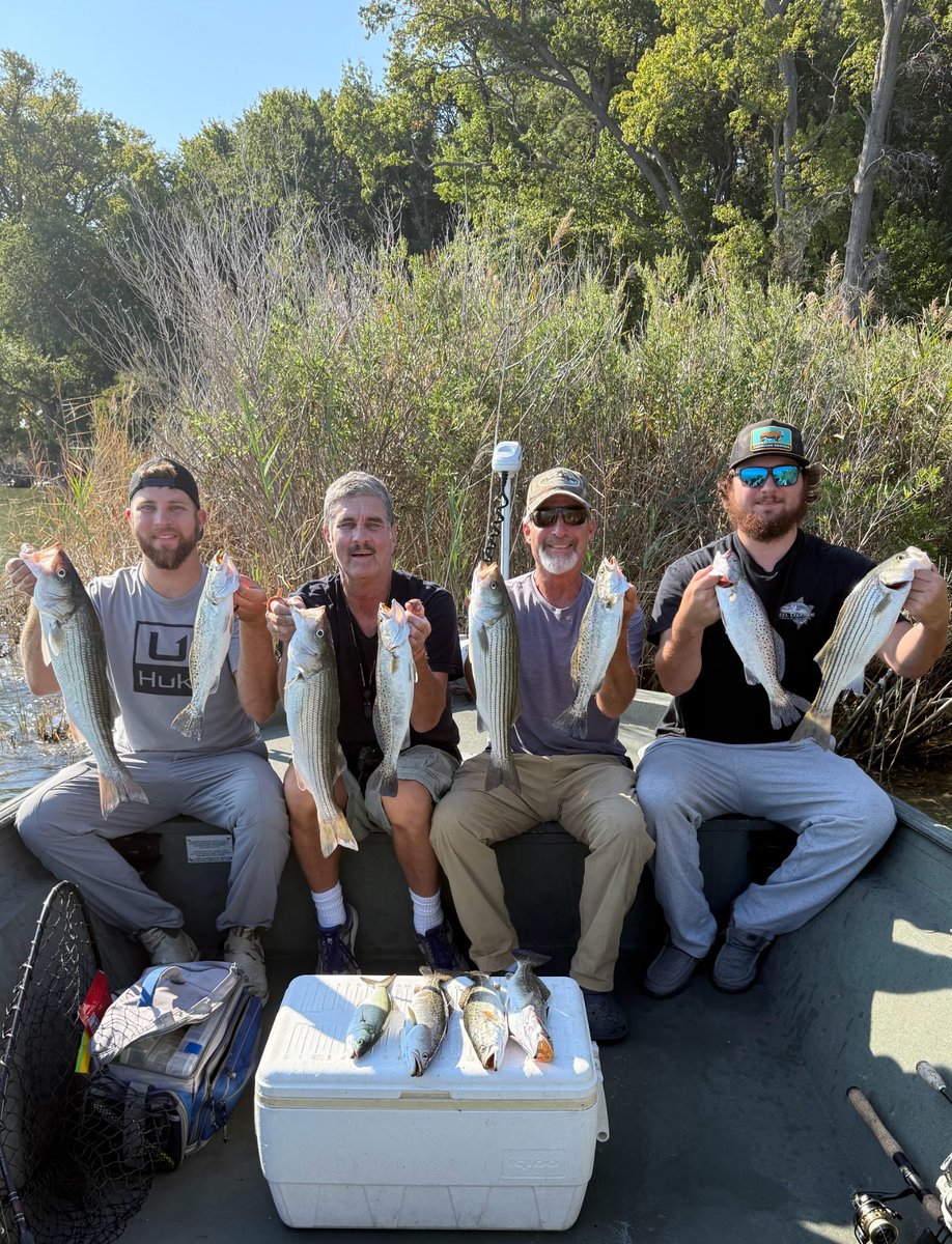 Our Current Live Bait:

Nightcrawlers
Red worms
Lugworms
Bloodworms
Minnows
Eels 
Jumbo Soft crabs
Razor clams
Grass shrimp

With plenty of fresh and frozen bait to choose from!
📸 courtesy of Prostaff Ed who had an epic multi species day!

#fishing #fishinglife #anglers