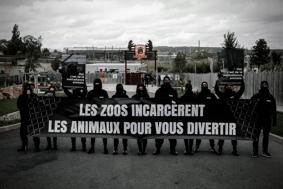 reseaupythagore tweet picture