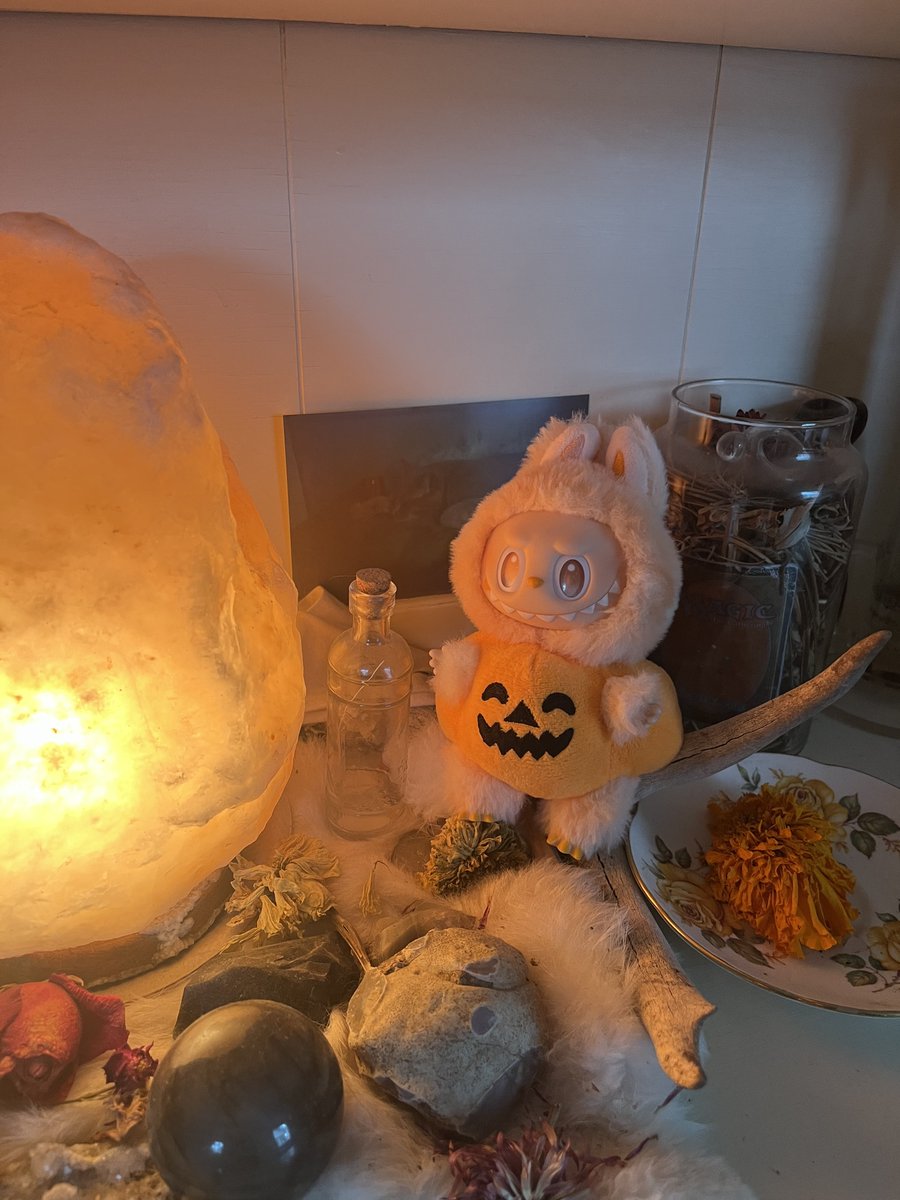 i got a halloween costume for my labubu