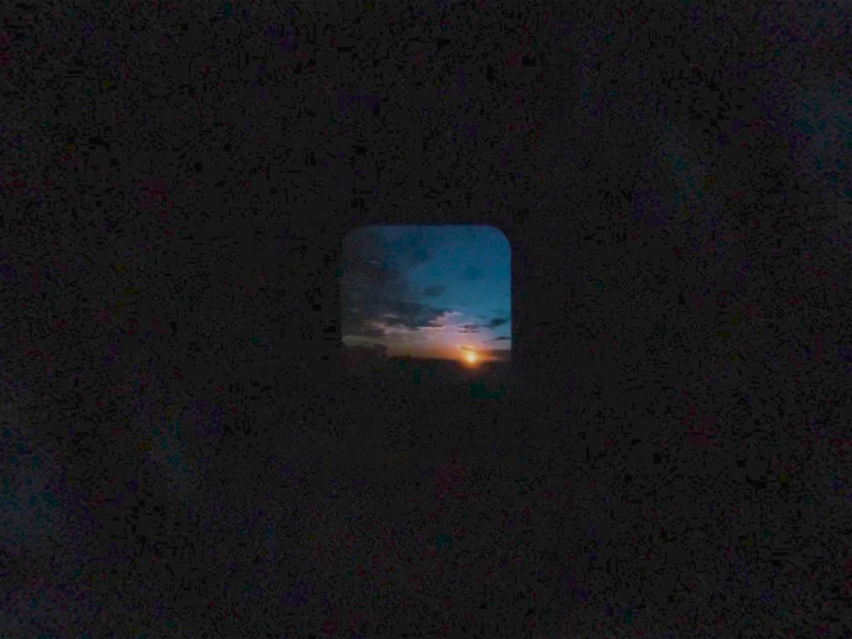 Daniel Kasman tweet media