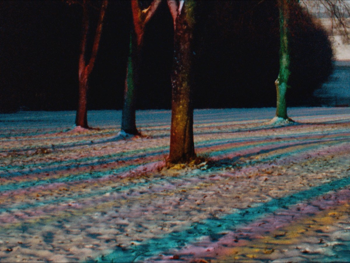 Daniel Kasman tweet media