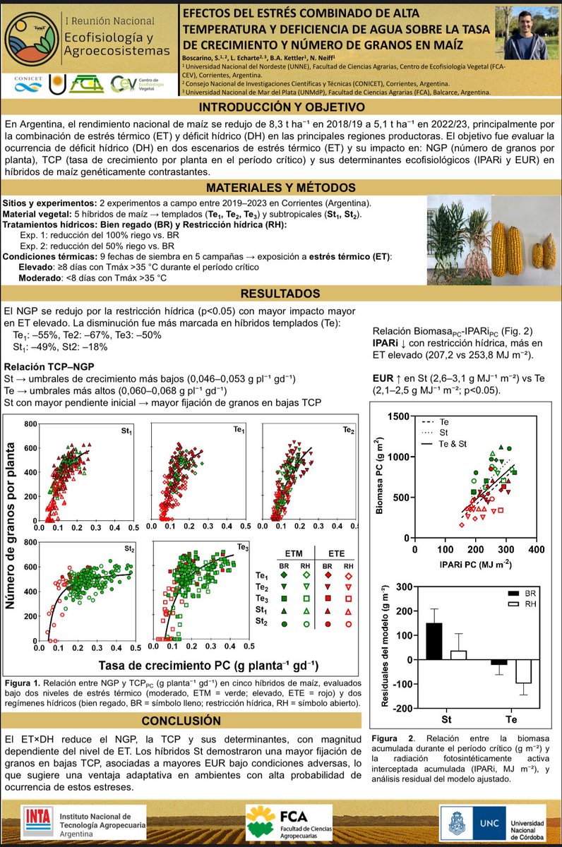 Seba Boscarino tweet media