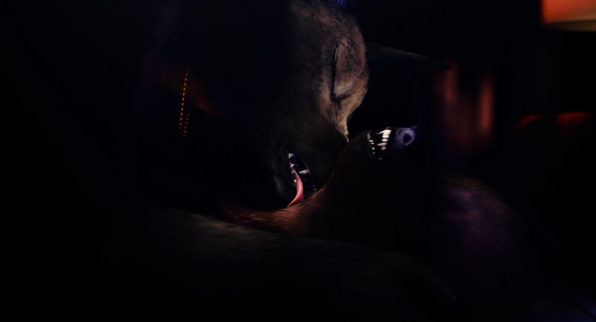 Daniel Kasman tweet media