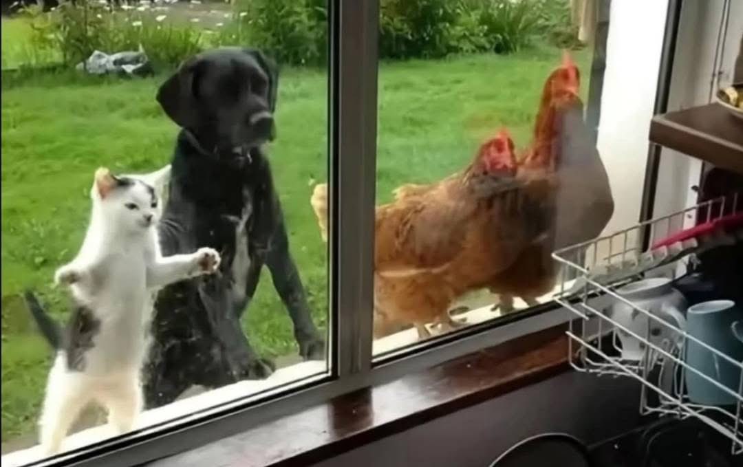 When the whole squad is done writing but you’re still on question 2 😭✍️