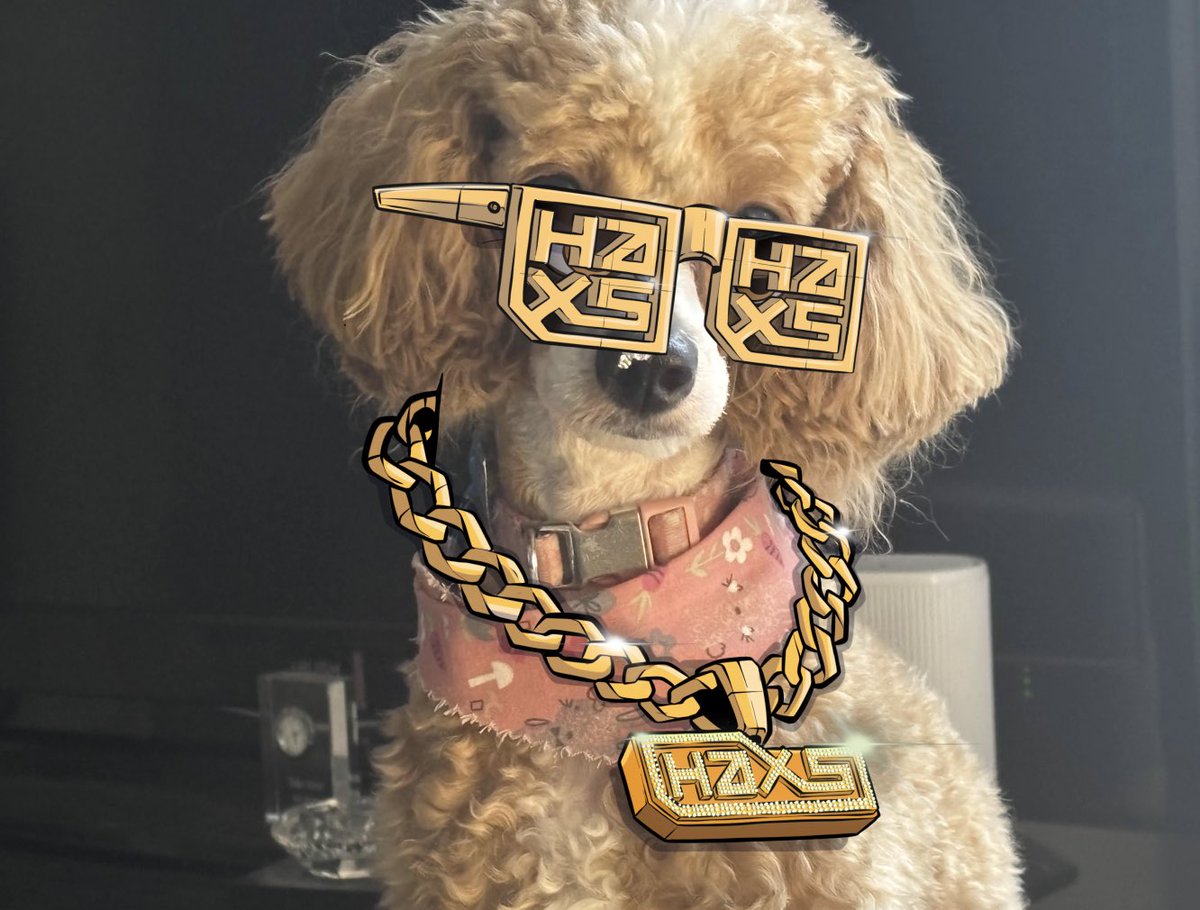 CHRISTIN3_A's tweet photo. Wow!! Joined the @Haxz_xyz discord and got Dolly vibing HXZ! https://t.co/KPAMLJrDV1
