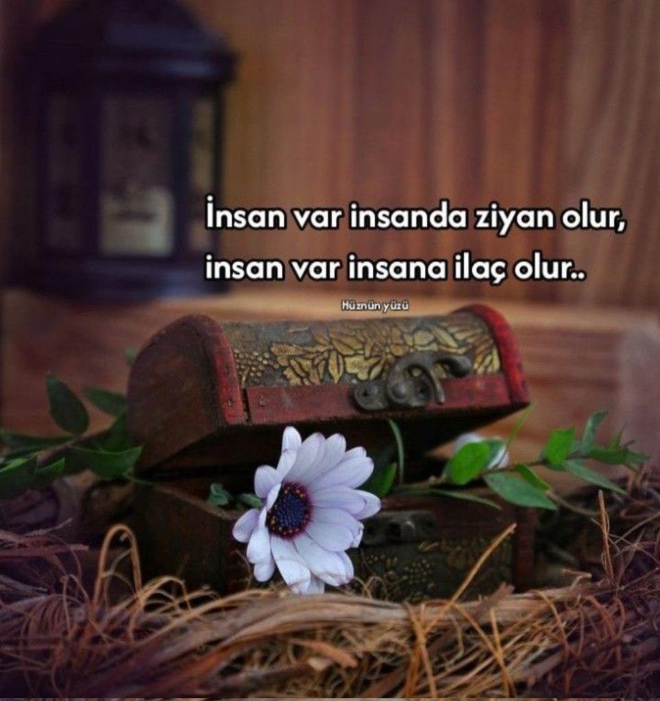 Bazı şeylerin oluru varsa olur yoksa yalan söylenmez . 
Oluru yok... 

#ÜzgünümHayat________ 

#geceyebirsoez 💫