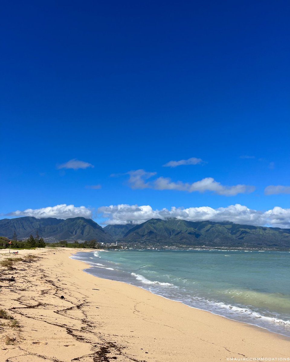 Maui's tweet photo. From @allaboutmaui: We hope your weekend is as sunny as this! https://t.co/ryfaIJOoij