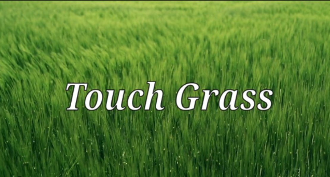 dalgoorak's tweet photo. only #openseatouchgrass https://t.co/KXvJkgHLrB