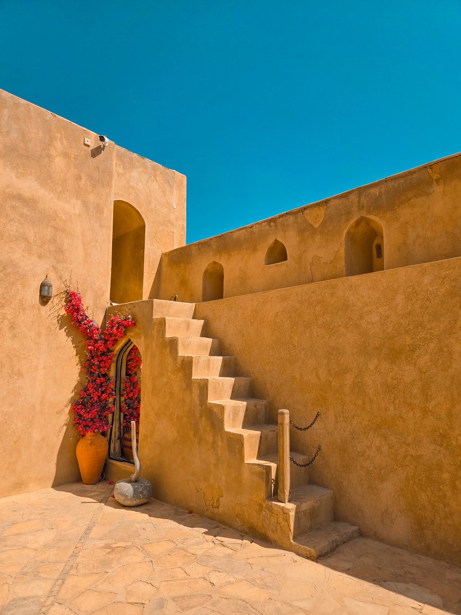 Adrian Limani tweet media