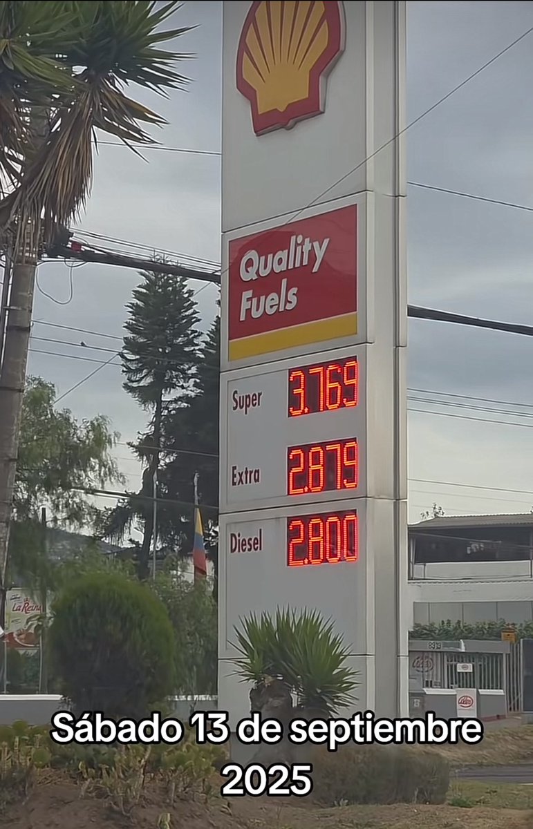 LaReinaDeNarnia 🌹 tweet media