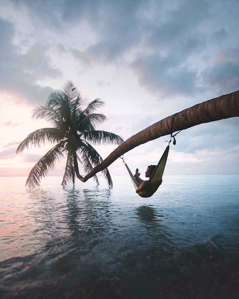 I need this in my life