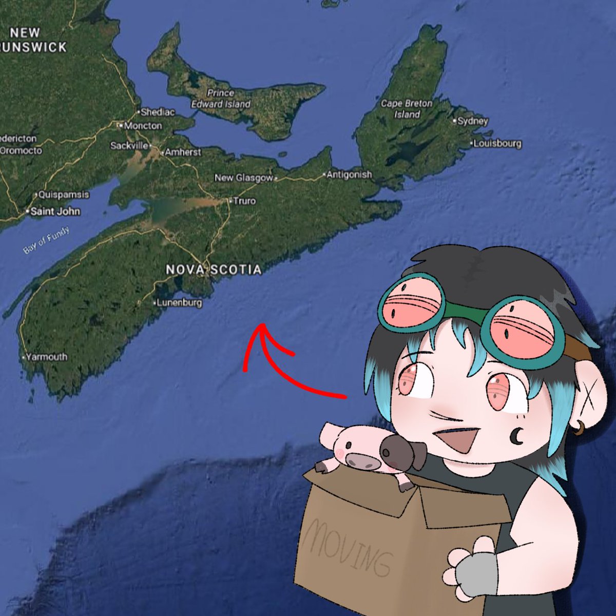 I cant wait :3 I need mons so bad 😭For those that aint please do follow me tho just so I get pushed up just that little! :3 [CARRD⤵️] - Just in case :D
echohawks.carrd.co
<a href="/Mercy_Dearest/">✧Mercy 🤍🪻˖°. comms open《૮ • ✧ • ა》</a> 🎨