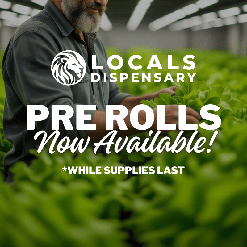 LocalsCannabis's tweet photo. Pre Rolls Now Available Daily! *While supplies last.

*Our dispensary and all promotional materials are strictly for adults 21 years of age and older. https://t.co/F6XAd12QUf