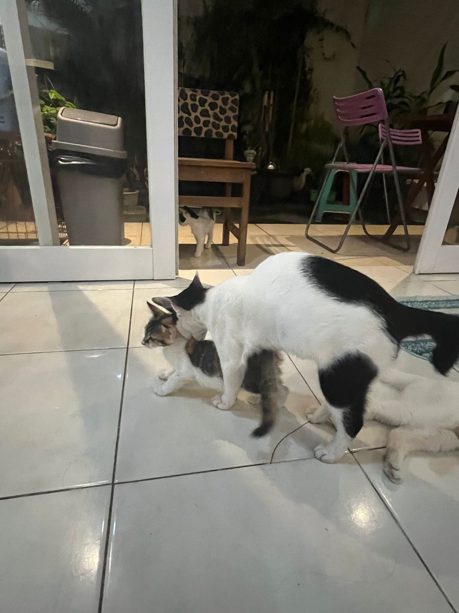 Yang lagi ramai diperbincangkan warga wargi