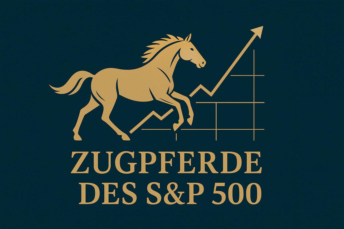 Der S&amp;P 500 liegt 2025 solide im Plus. Doch die Rallye wird von wenigen Zugpferden getragen. Wer sind diese Aktien, die den Index dominieren? Und was sagt ihre Zusammensetzung über den Markt und die Anlegerpsychologie?

open.substack.com/pub/whirlwind3…