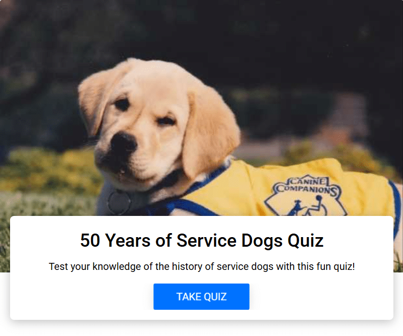canineorg's tweet image. 🤔How well do you know about #servicedogs? Test your knowledge and see how well you do! 

🐕‍🦺Take quizzes here: bit.ly/46iyrJm

#funandgames #onlinequiz #quiz #servicedog #nationalservicedogmonth
