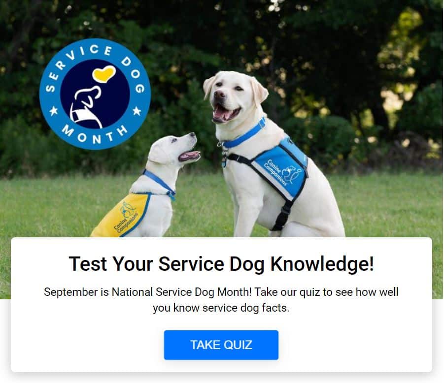 canineorg's tweet image. 🤔How well do you know about #servicedogs? Test your knowledge and see how well you do! 

🐕‍🦺Take quizzes here: bit.ly/46iyrJm

#funandgames #onlinequiz #quiz #servicedog #nationalservicedogmonth