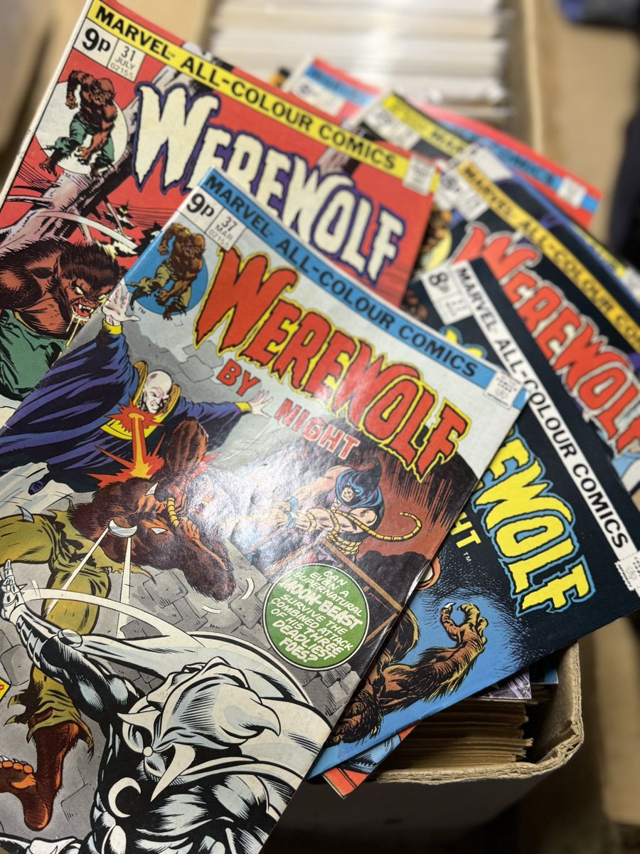 Werewolf in the attic