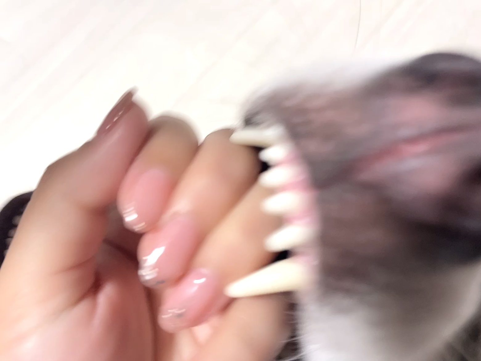 ♥むっち♥ ♡♬.*゜ページ むさっち🍊🧡 on X: 