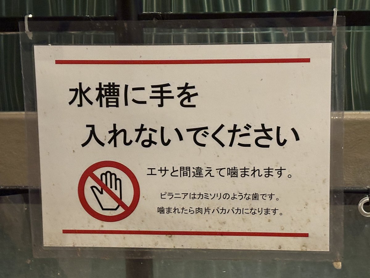 パカパカてあんたおうまさんのお散歩かて