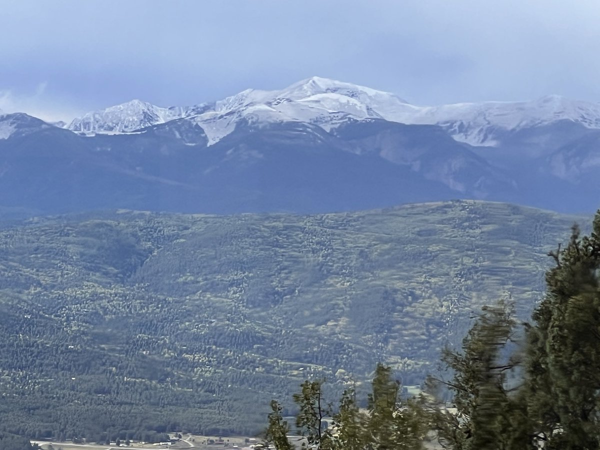 Mark Ronchetti tweet media