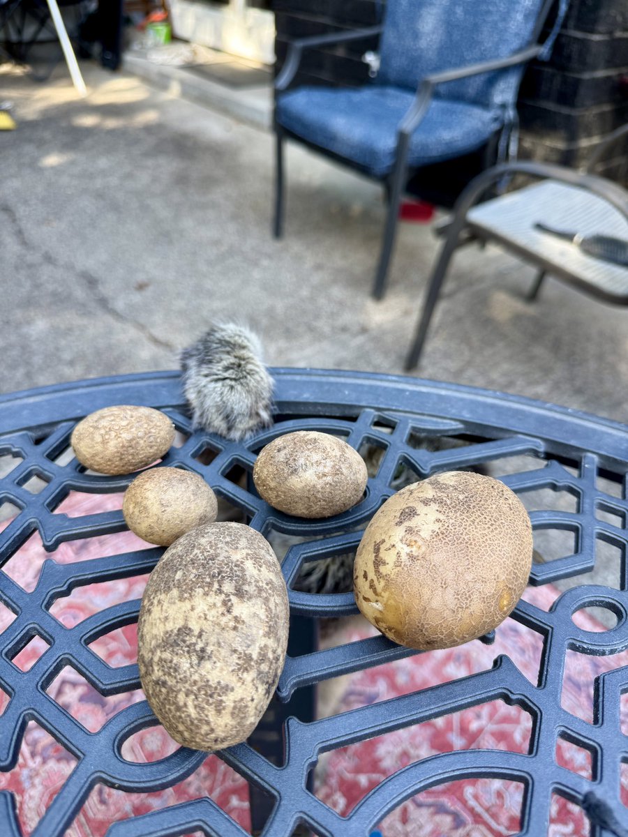 xxTRⱯGIC (ryan) tweet media