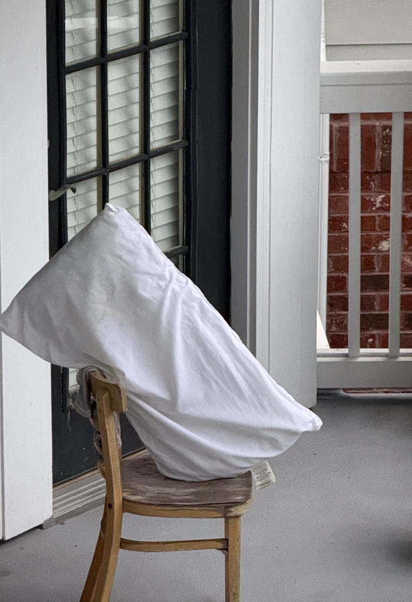 This is what I see on my neighbor’s balcony. Like … is it an art piece or …