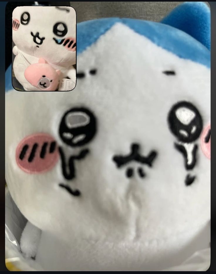 Zorakek☆ (@isthiszora) on Twitter photo 