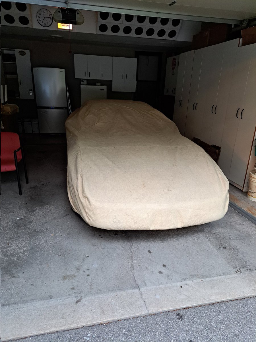 JumpyBob's tweet image. Washed Kandy up to put her to bed for the winter...