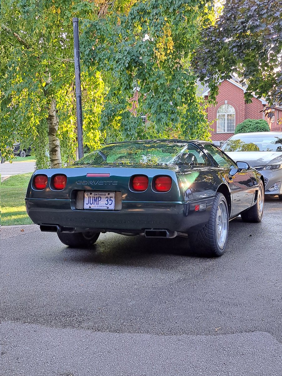 JumpyBob's tweet image. Washed Kandy up to put her to bed for the winter...