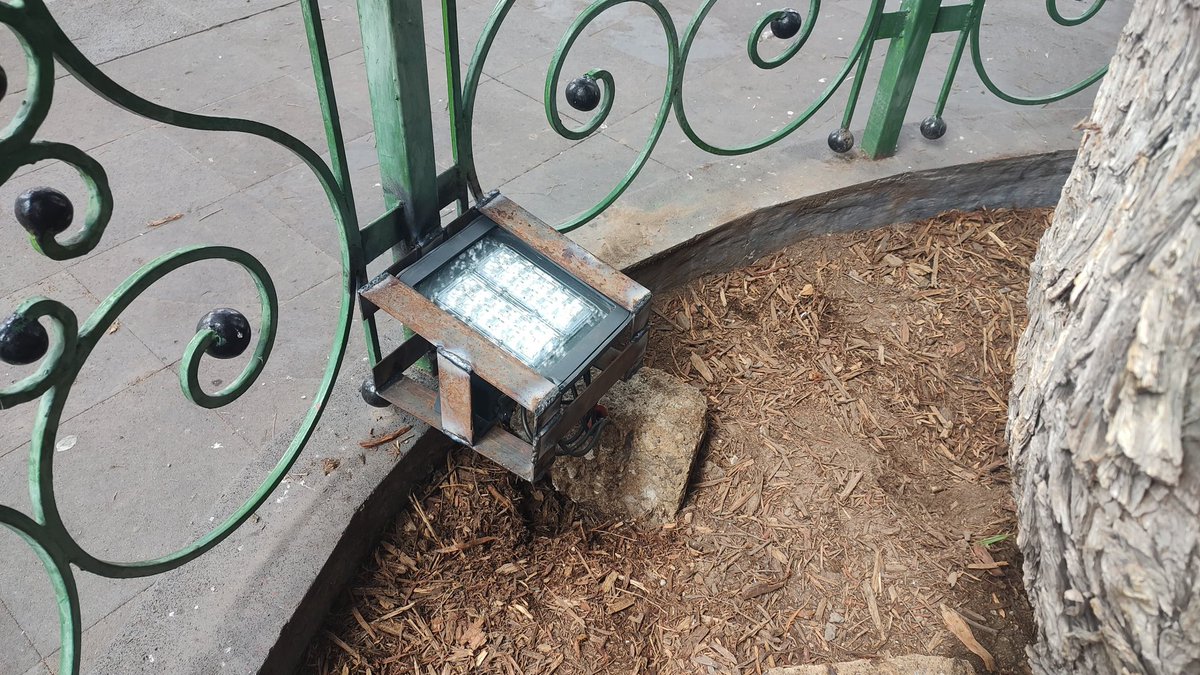 🌳 En respuesta a la petición realizada por vecinas y vecinos de Santa Catarina en la reciente asamblea, se repusieron los reflectores del Ahuehuete “Viejo del agua”.

💡 La rehabilitación de su iluminación fue posible gracias al valioso apoyo del <a href="/GobCDMX/">Gobierno de la Ciudad de México</a>.