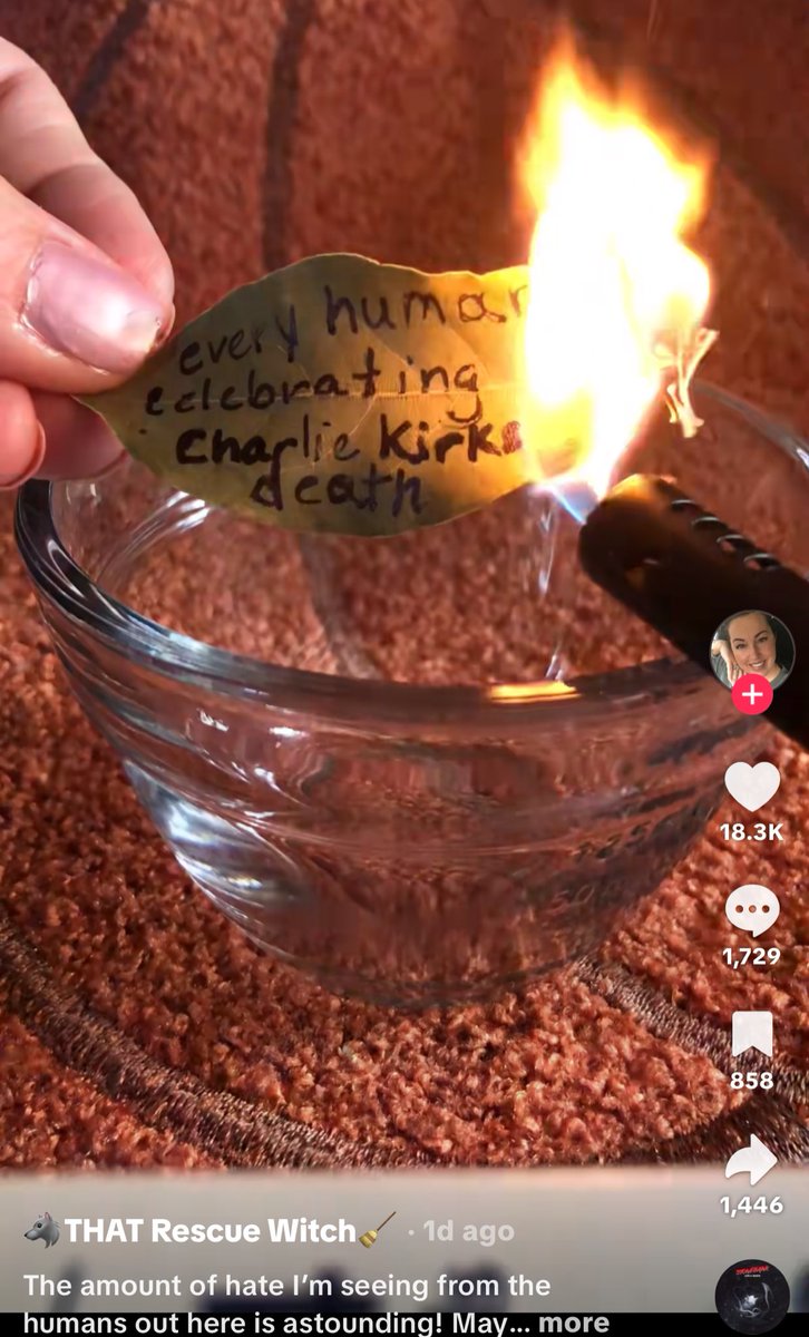 this is absolutely frying me