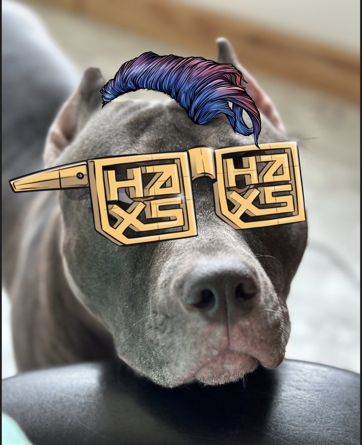 olddumbum's tweet photo. My pitbull got that HAXZ drip.

Community over everything!

@Haxz_xyz https://t.co/zCWzq7vpGY