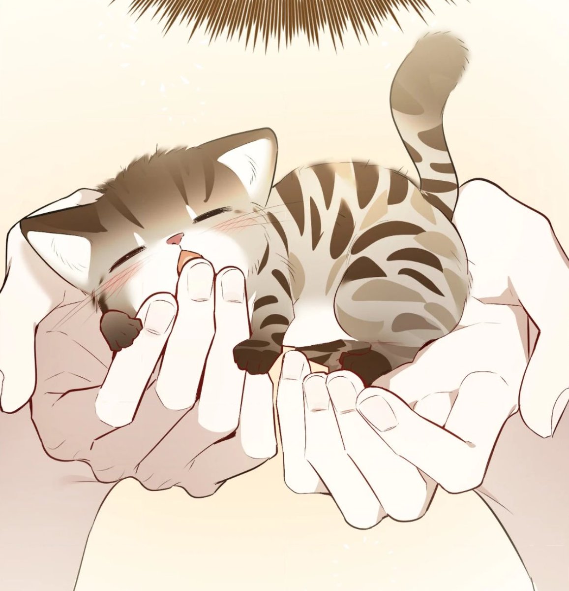 하.. 아가삵 개귀엽네