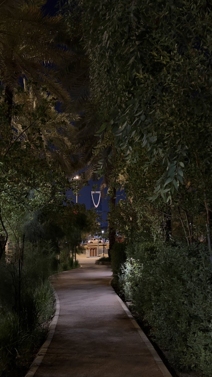 ما أرقّ الرياض تالي الليل 🤍.
#الرياض_الان