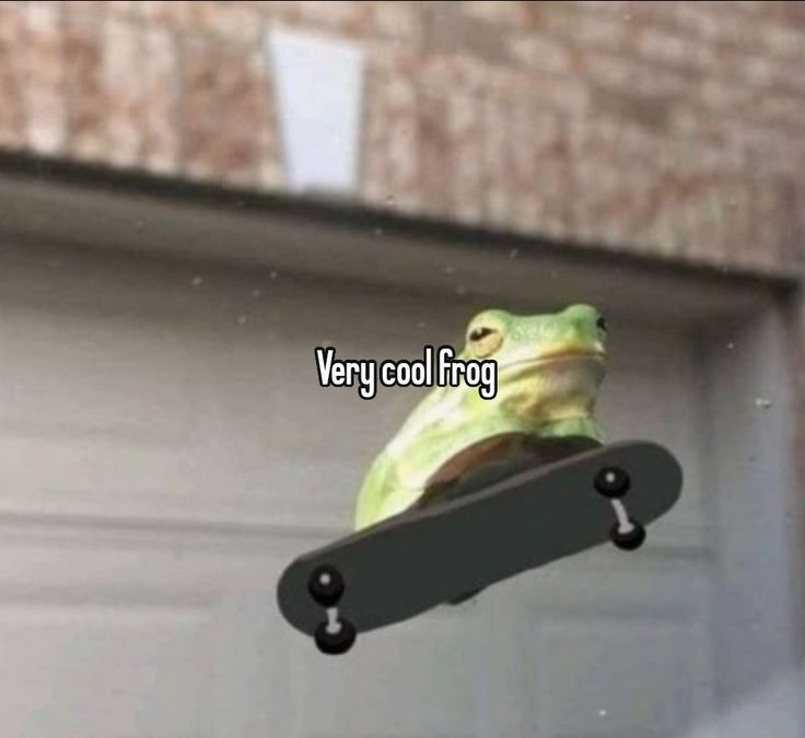 nocontextfrogs's tweet photo. https://t.co/yBfKKTmSPu