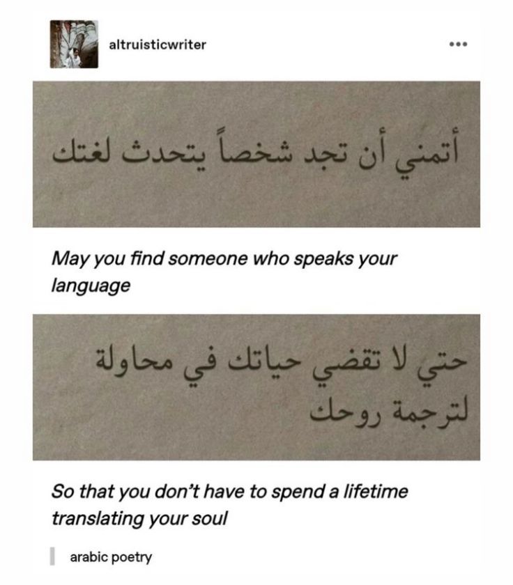 Literarium (@literarium12) on Twitter photo 