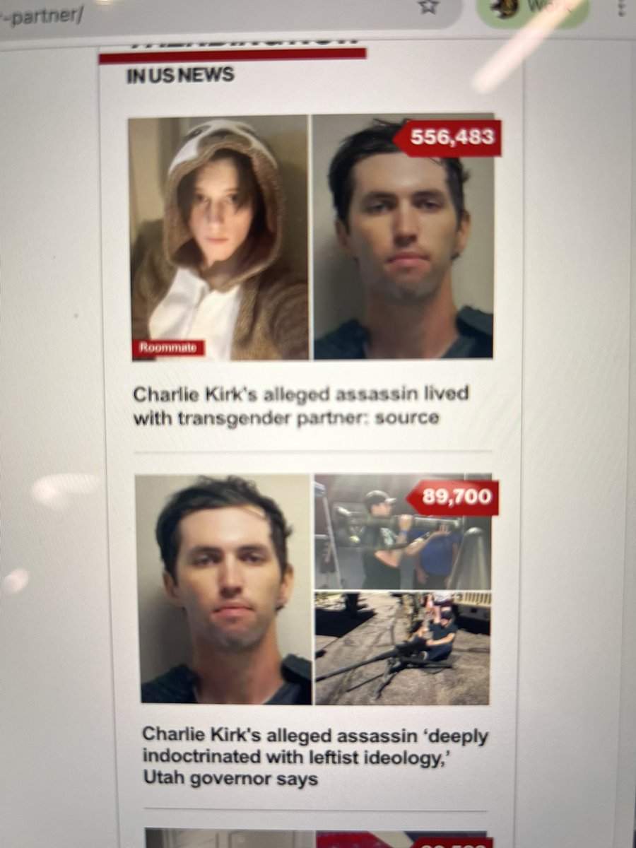 Stella DiMarco tweet media