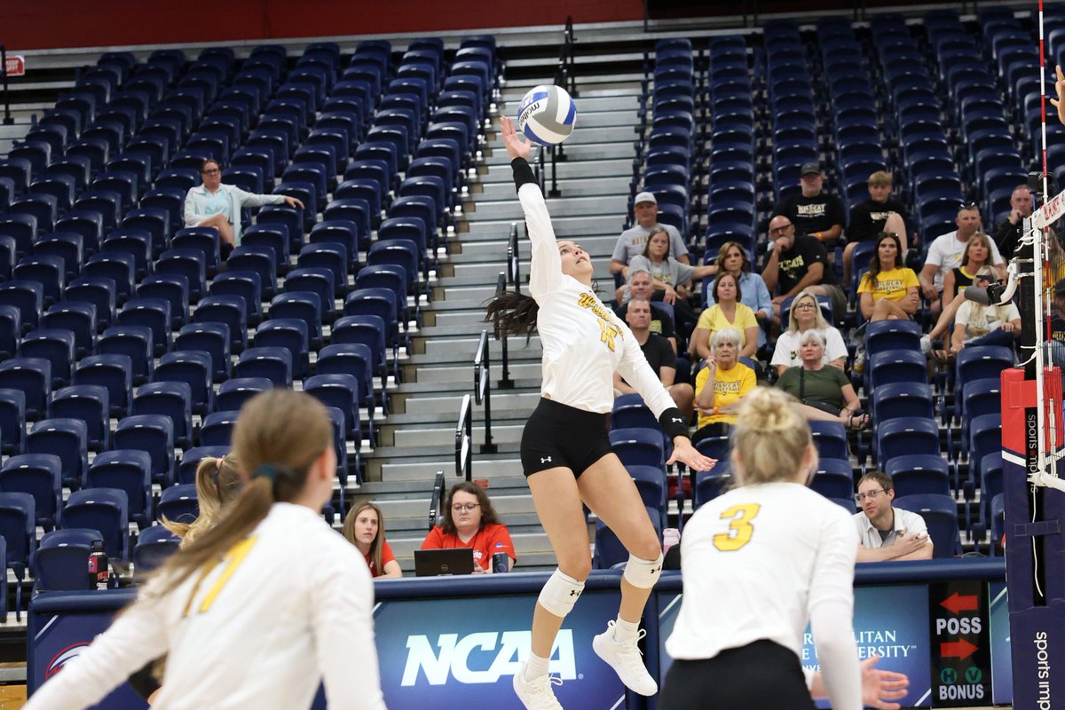 Back in action TONIGHT!😼

🆚 Missouri Western State University 
⏰5:30PM (CT)
📊roadrunnersathletics.com/sidearmstats/w…
📺(PPV)roadrunnersall-access.com

#ItsYourShip | #StayAnchored